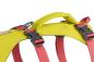 Preview: Ruffwear Flagline Harness Lichen Green Gr. XXS